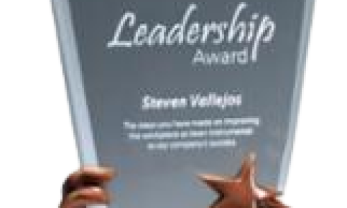 Leadership award with bronze resin detail